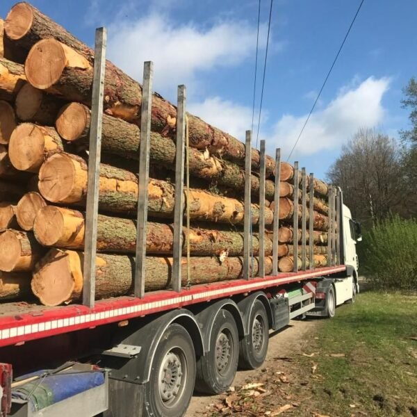 Grumes de Hêtre – Lot Camion Complet (60 stères) – Certifié PEFC & FSC