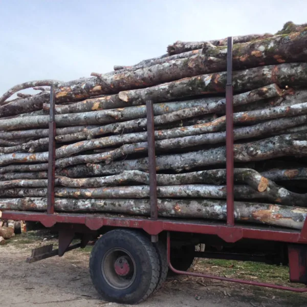 Grumes de Chêne – Lot Camion Complet (60 stères) – Certifié PEFC & FSC