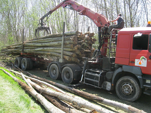 Grumes de Châtaignier – Lot Camion Complet (60 stères) – Direct Exploitant
