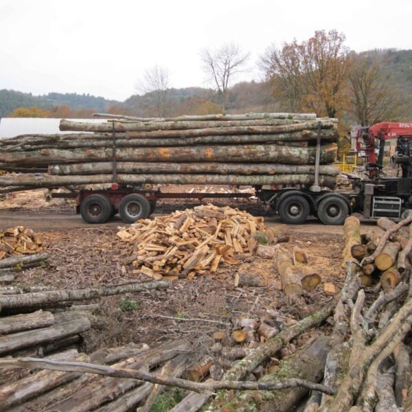 Mélange de grumes Hêtre, chêne, frêne, charmes– Lot Camion Complet (60 stères) – Certifié PEFC & FSC