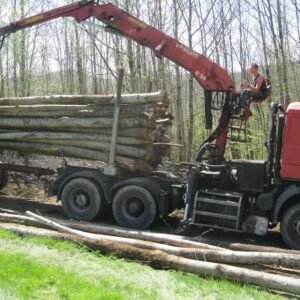 Grumes de Châtaignier – Lot Camion Complet (60 stères) – Direct Exploitant