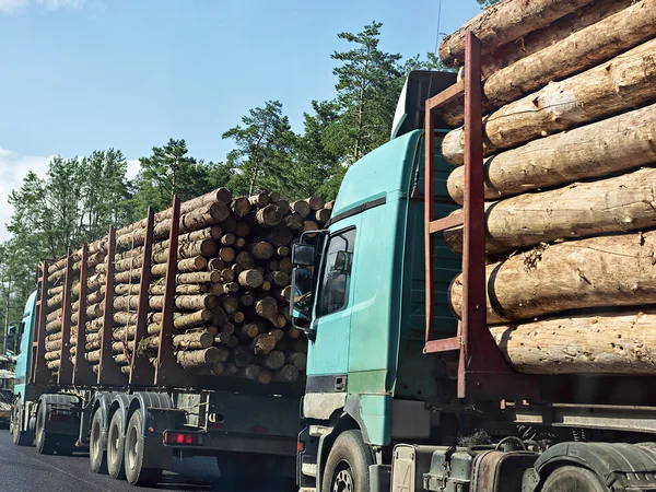 Grumes d’Épicéa – Lot Camion Complet (60 stères) – Certifié PEFC & FSC