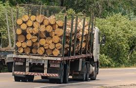 Grumes de Douglas – Lot Camion Complet (60 stères) – Bois Local & Durable