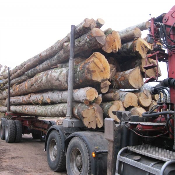 Grumes de Frêne – Lot Camion Complet (60 stères) – Certifié PEFC & FSC