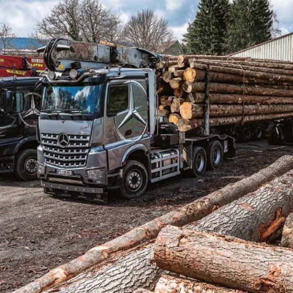 Mélange de grumes Douglas, Pin, Peuplier, – Lot Camion Complet (60 stères) – Certifié PEFC & FSC