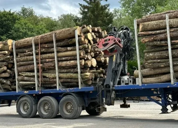 Mélange de grumes Frêne, Epicéa